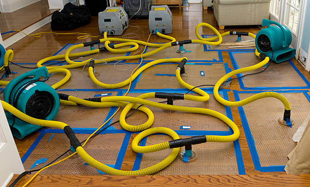 Professional Basement Flood Cleanup technician working in Dunstable, MA